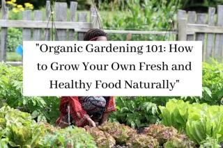 "Organic Gardening 101: How to Grow Your Own Fresh and Healthy Food Naturally"