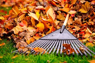 Fall Clean-Up Guide for the Kern River Valley