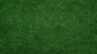 Transform Your Yard: Why Artificial Turf Is Beneficial
