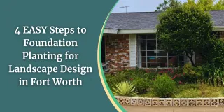Landscaping Fort Worth | 4 EASY Steps to Foundation Planting for Landscape Design

