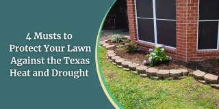 4 Musts to Protect Your Lawn Against the Texas Heat and Drought | Lawn Care Fort Worth
