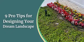 9 Pro Tips for Designing Your Dream Landscape | Fort Worth Landscaping
