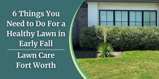 6 Things You Need to Do For a Healthy Lawn in Early Fall | Lawn Care Fort Worth
