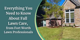 Everything You Need to Know About Fall Lawn Care, from Fort Worth Lawn Professionals