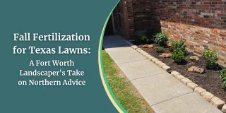 Fall Fertilization for Texas Lawns: A Fort Worth Landscaper's Take on Northern Advice