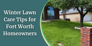 Winter Lawn Care for Fort Worth: Smart Strategies to Protect Your Lawn Without Wasting Water