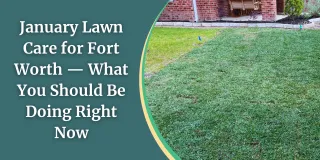 January Lawn Care for Fort Worth — What You Should Be Doing Right Now