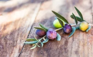Longevity with Volcanic-Soil-Grown Olive Oil