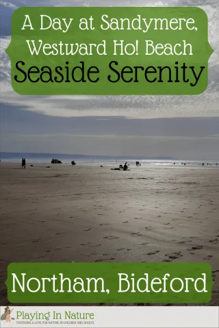 Seaside Serenity: A Day at Sandymere, Westward Ho! Beach