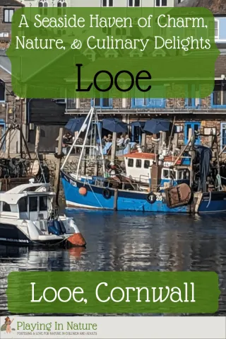 Looe: A Seaside Haven of Charm, Nature, and Culinary Delights