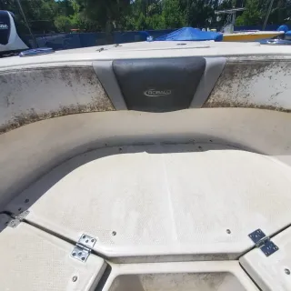 What Does Boat Mold Look Like?