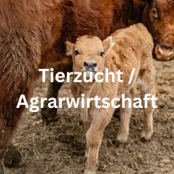 Nachhaltige Landwirtschaft in Kuba: Autarke Lebensmittelproduktion & Kreislaufwirtschaft als Zukunftsmodell