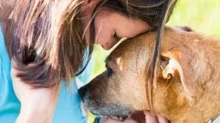 Finally, the answer to how does a dog smell, it’s really rather well actually.