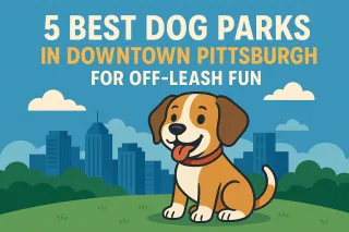5 Best Dog Parks in Downtown Pittsburgh for Off-Leash Fun