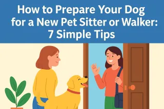 How to Prepare Your Dog for a New Pet Sitter or Walker: 7 Simple Tips