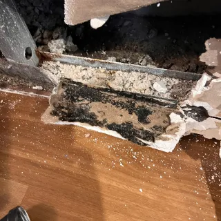 Mould Treatment in Sydney South, Rosebery