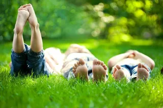 3 Tips to Prepare Your Lawn for Summer Success