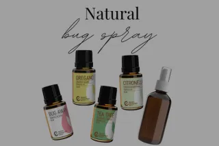 Favorite Essential Oils for Bug Repellant