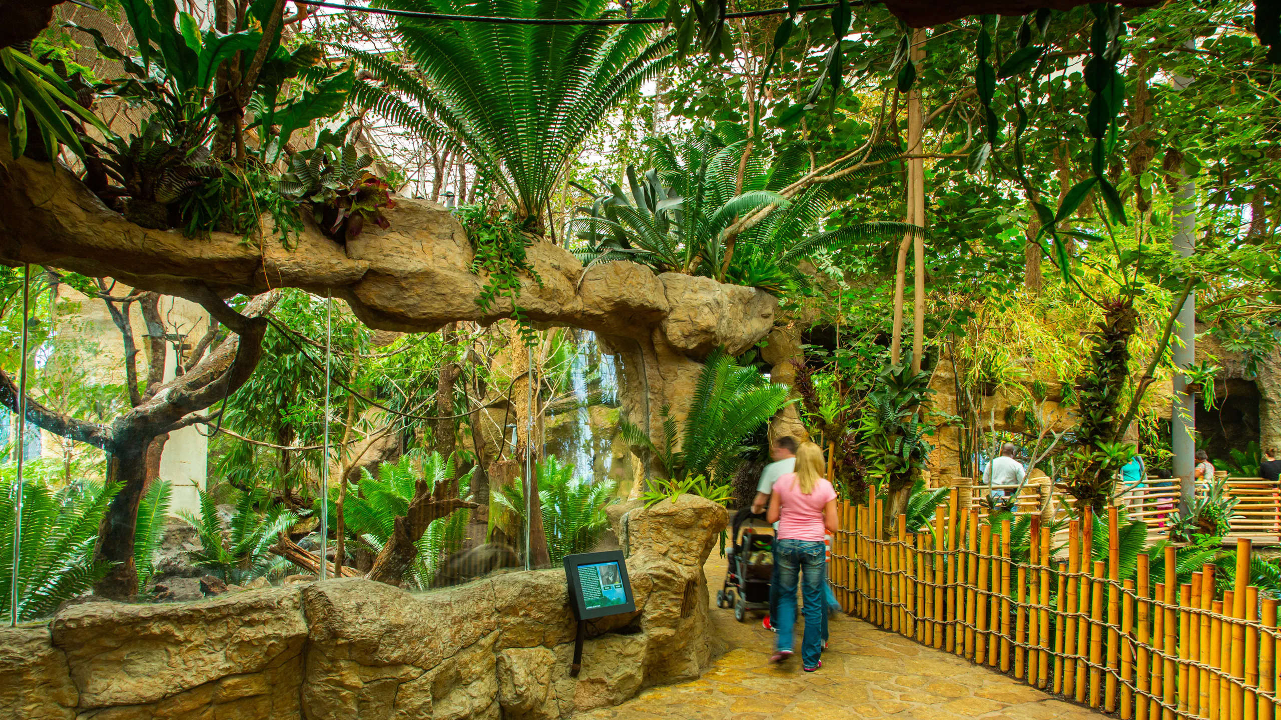 🐠 Dive Into Adventure at the Dallas World Aquarium: Texas’ Underwater Wonderland! 
