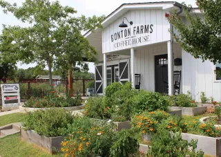 🌱 Bonton Farms: Dallas’ Freshest Urban Escape