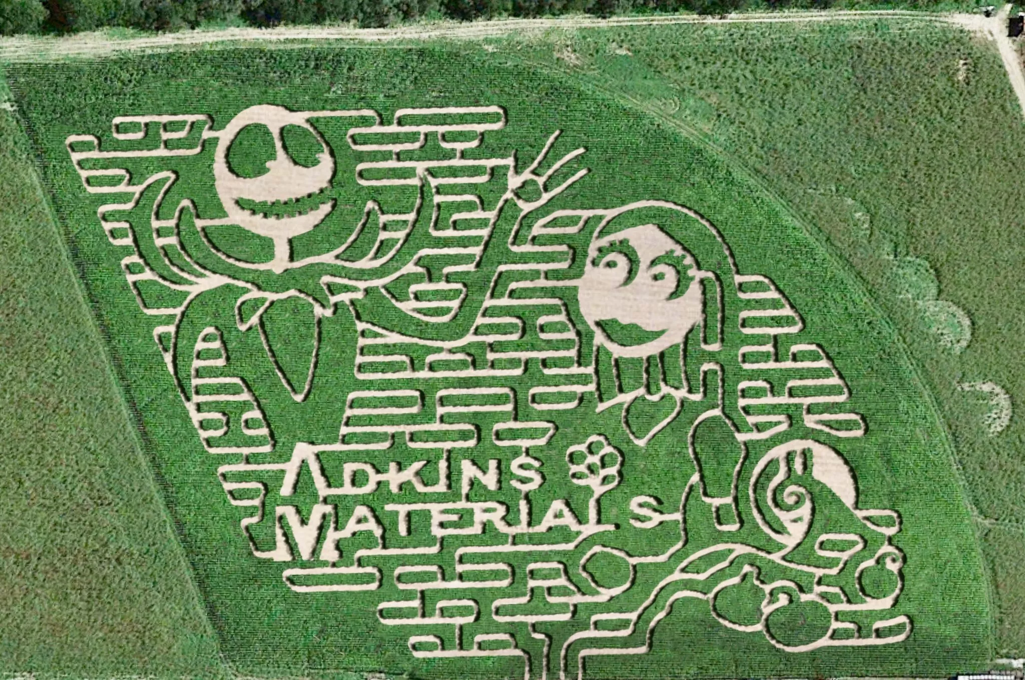 🌽 Adventure Awaits at Sawgrass Farms & Corn Maze: A Texas Fall Favorite You’ve Gotta Experience!