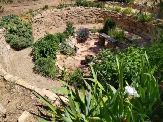 The Genesis of our Food Forest
