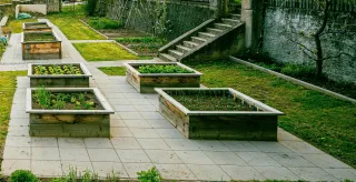 Raised Bed Gardening