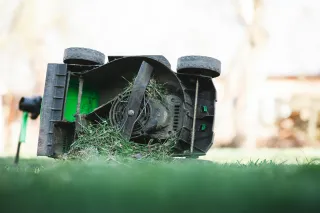 Stop Lawn Pests Before They Invade: Fresno’s Fall Protection Guide