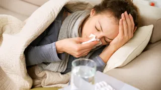 Is Mould Making You Sick? The Health Risks You Need to Know