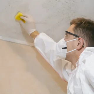 The Ultimate Guide to Mould: What It Is, How It Forms, and How to Get Rid of It