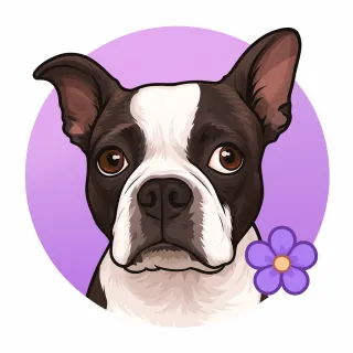 Park Zoomies with Gypsy: Her Favorite Outdoor Playtime