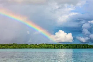 La naturaleza nos ayuda a regular el estrés