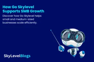 How Go Skylevel Supports SMB Growth