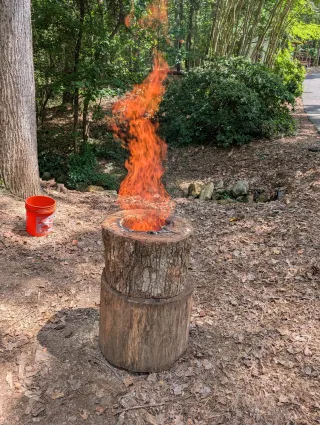 Can You Burn Freshly Cut Wood? (Everything Georgia Homeowners Need to Know)