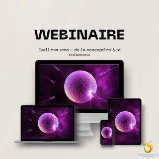 De la conception à la naissance