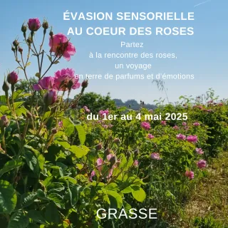 programme complet de l'Evasion sensorielle au coeur des roses