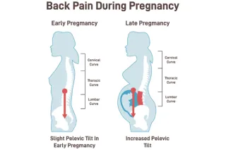 From Back Pain to Birth Prep: How Align Movement is Redefining Perinatal Healing