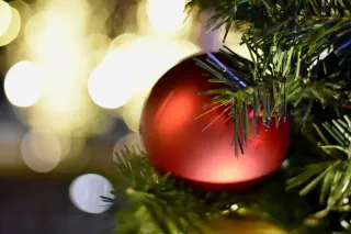 Joy to the World