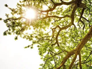 The Riches of Our Inheritance