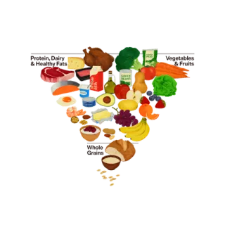 Controversy: The New Food Pyramid and the Brain