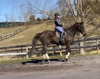 Riding the "naughty" Horse