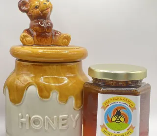 Boosting Bee-Transformed’s Brand Awareness and Customer Engagement