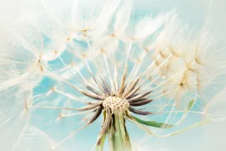 What I Wish I Knew When My Symptoms First Started
