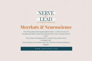 Meerkats & Neuroscience
