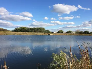 🌳 Plum Grove Reservoir: Addison’s Nature Escape