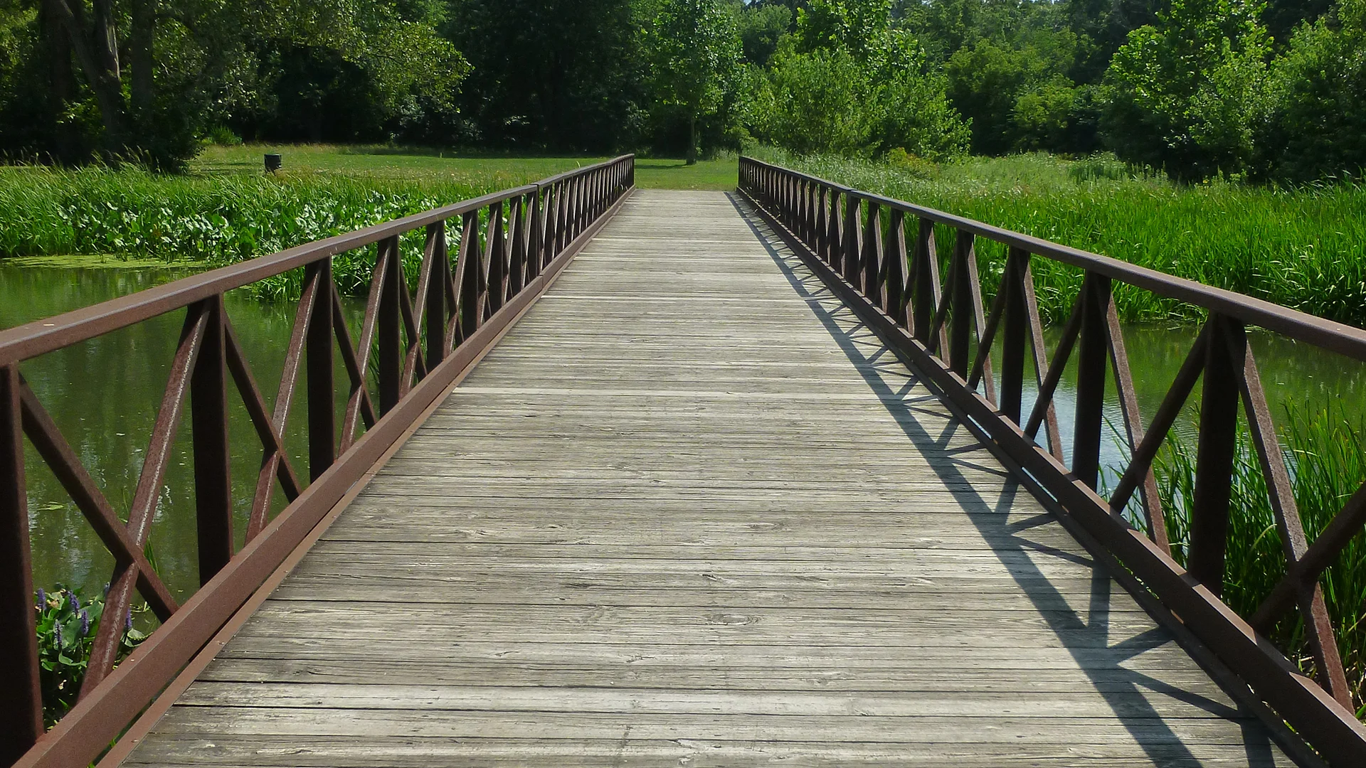 🌿 Churchill Woods Forest Preserve – Nature’s Hidden Gem Near Addison, IL