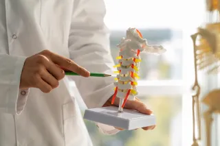 Wellness Academy USA San Diego: Strength Training for Stronger Bones
