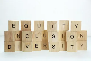 Volume 2:  Building the DEI Foundation