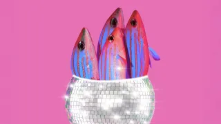 Cycle Syncing with Omega-3s