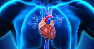 Chronic Diseases Epidemic